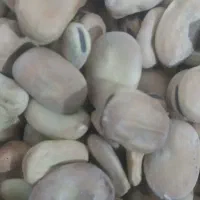 باقله اصل گرگان|عمده‌فروشی|سرپل ذهاب, |دیوار