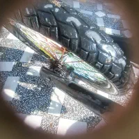 دوچرخه|دوچرخه، اسکیت، اسکوتر|فهرج, |دیوار