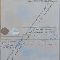 سند برای دادگاه می‌خوام