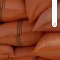 کاه دیم امسال