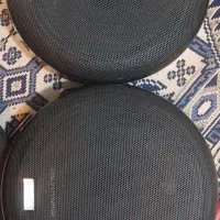 یک جفت میدرنج ۸ اینچ