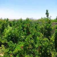 فروش خانه باغ ۴۵ متری ۱ خوابه در مشگات|فروش خانه و ویلا|قم, دروازه کاشان|دیوار