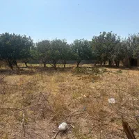 فروش-باغ-550-متری-دوکله-درگلدشت-وقلعه-سفید