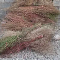 جارو|لوازم نظافت|کرمانشاه, |دیوار