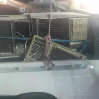 نقد در منزل مشتری کولر سوخته سالم هستم