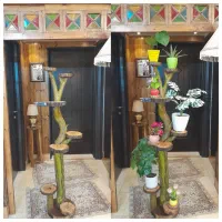 استند گل تنه درختی|گل و گیاه طبیعی|قم, باجک دو|دیوار