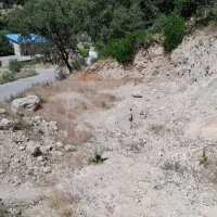 زمین