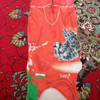 دوبنده کشتی|تجهیزات ورزشی|اردبیل, |دیوار