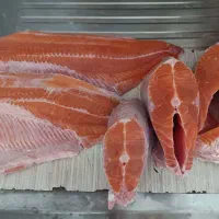 ماهی سالمون