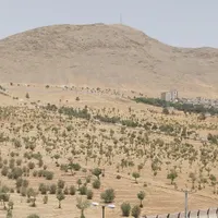 جویای کار