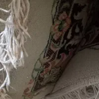 فرش|فرش|مشهد, جاهد شهر|دیوار