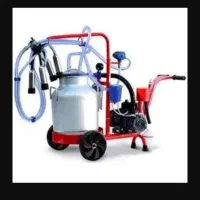 نمایندگی شیردوش دام در لرستان