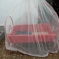 گهواره درحدنو