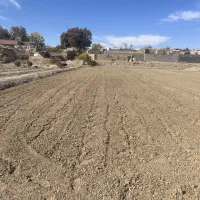 زمین زعفرانی کنار شاه جو بلده