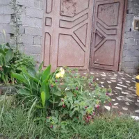 نظافتچی خانوم
