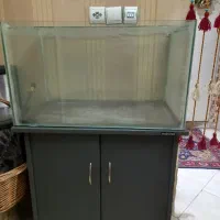 آکواریوم|ماهی|ری, شهرری|دیوار