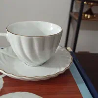 ظروف پذیرایی