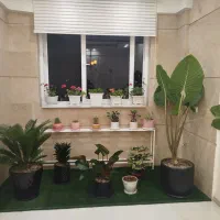 98-متری-شیک-صیاد-شیرازی