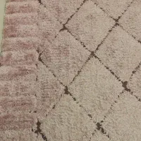 ۲ تخته فرش ۶ متری رنگ (صورتی )|فرش|اهواز, کمپلو شمالی|دیوار
