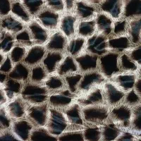 مخمل پارچه|لباس|اهواز, کمپلو شمالی|دیوار