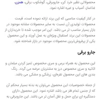 جارو برقی سطلی بوش|جاروبرقی، جارو شارژی، بخارشو|تهران, حکیمیه|دیوار