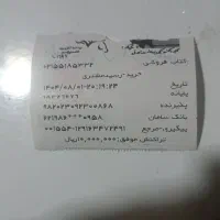 استخدام شابلون زن ترجیحا خانم و یا آقا|استخدام صنعتی، فنی، مهندسی|تهران, پامنار|دیوار