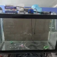 آکواریم وسایل عید نوروز