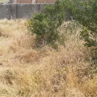 زمین-و-خانه-مسکونی
