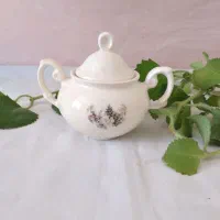 ظروف چینی سرامیک|ظروف سرو و پذیرایی|الیگودرز, |دیوار