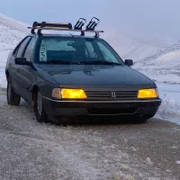 باربند اسکی