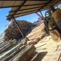 چوب تخته  روسی و ایرانی در تمام نقاط