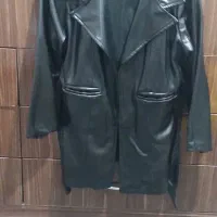 پالتو