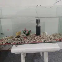 اکفاریوم ۶۵ سانتی با تصفیه آب