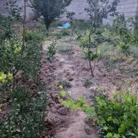 زمین چهاردیواری نصرت آباد|فروش زمین و ملک کلنگی|الوند, |دیوار