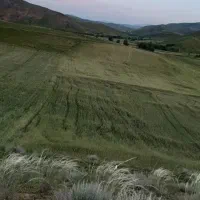 خاک شما را خریداریم