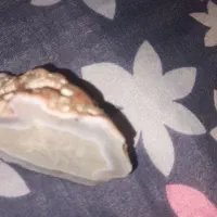 جواهر۰سنگ۰شجر۰معدن۰بزرگ۰شفاف۰