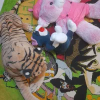 عروسک و فرش اتاق کودک سالم|اسباب و اثاث بچه|رشت, استادسرا|دیوار