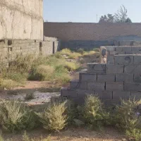 زمین مسکونی در مامونیه|فروش زمین و ملک کلنگی|زرندیه, |دیوار