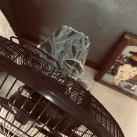 پنکه|پنکه و تصفیه‌کنندهٔ هوا|شیراز, تاچارا|دیوار