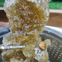 عسل صددرصد طبیعی