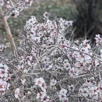 فروش زمین ۱۲۵متر