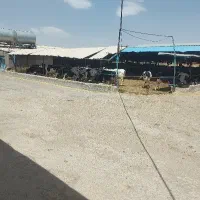 استخدام کارگر دامداری