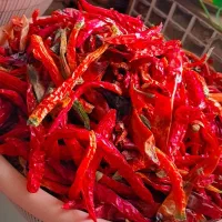 فلفل قرمز تند