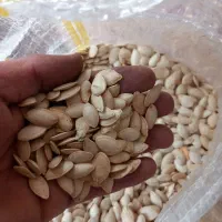 تخم کدو|خوردنی و آشامیدنی|پادنا, |دیوار