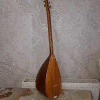 باغلاما دست کوتاه