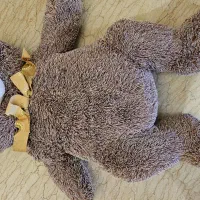 خرس قهوه‌ای بزرگ