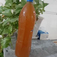 سرکه طبیعی انگور