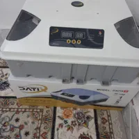 دستگاه جوجه کشی|لوازم جانبی حیوانات|سرپل ذهاب, |دیوار