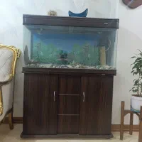 آکواریوم ساده و شرکتی ماهیران بسیار تمیز