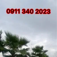 0911 340 2023